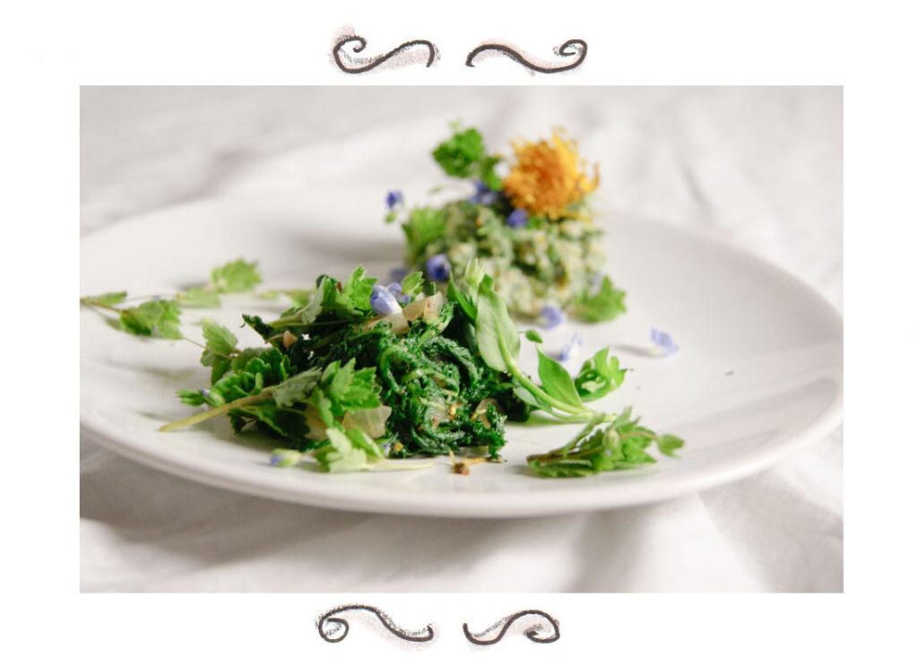 wild herbs yarrow dandelion speedwell