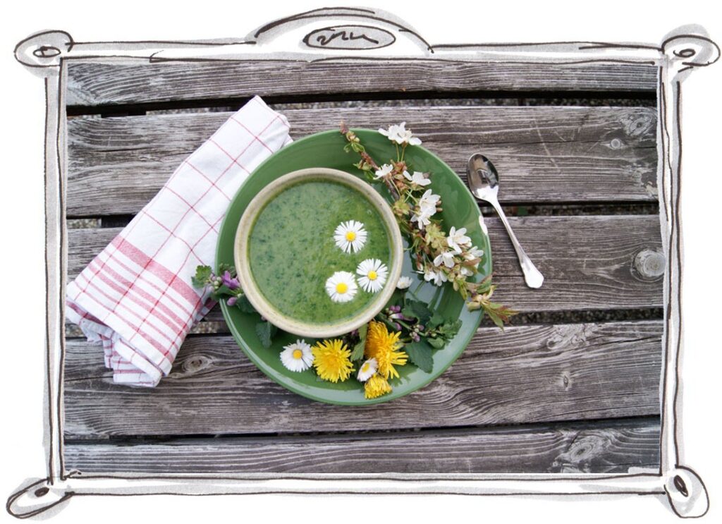 Wild Garlic Soup with Dandelion Leaves