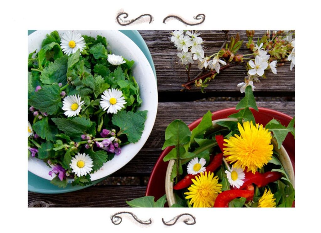 Wildkräutersalat