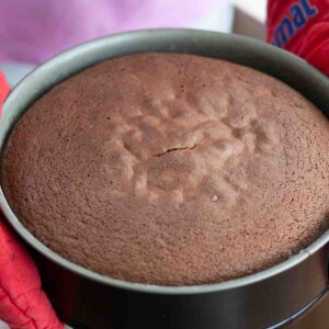 Fertig gebackene Torte frisch aus dem Ofen | baked cake fresh from the oven