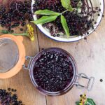 Hollerkoch im Einweckglas | canned elderberries