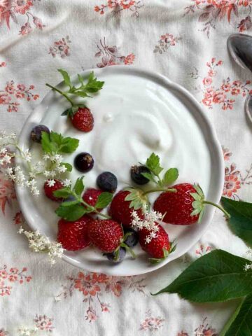 Holunderblüten Creme mit Sirup