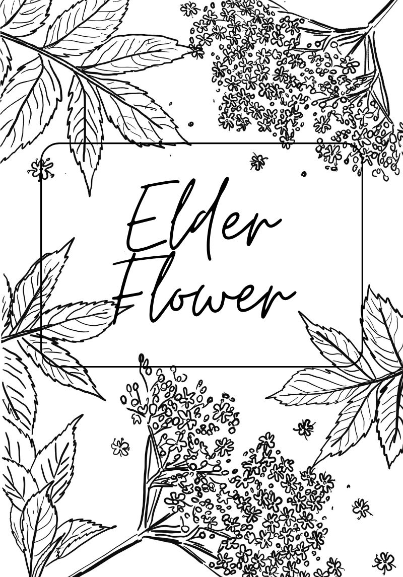 Elderflower Label