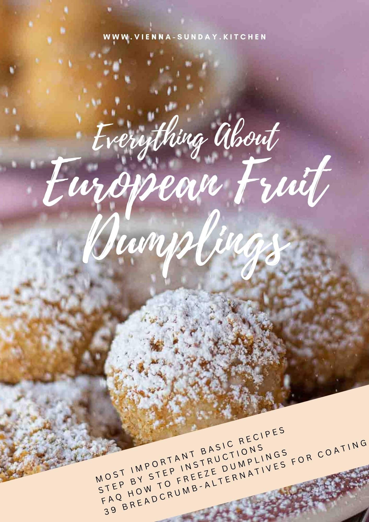 E-Book Cover Fruit Dumplings