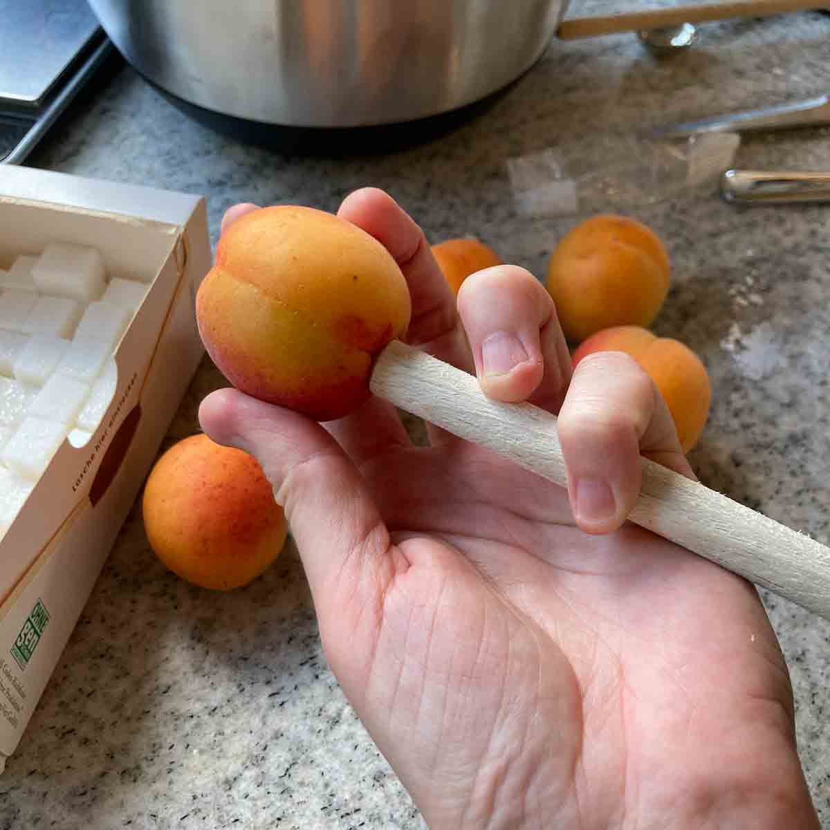 Marillen entsteinen und mit Würfelzucker füllen