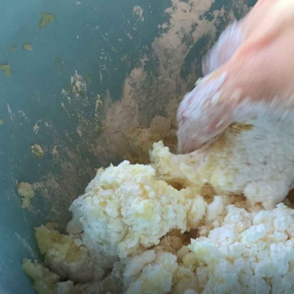 Veganen Kartoffelteig kneten | kneading vegan potato dough