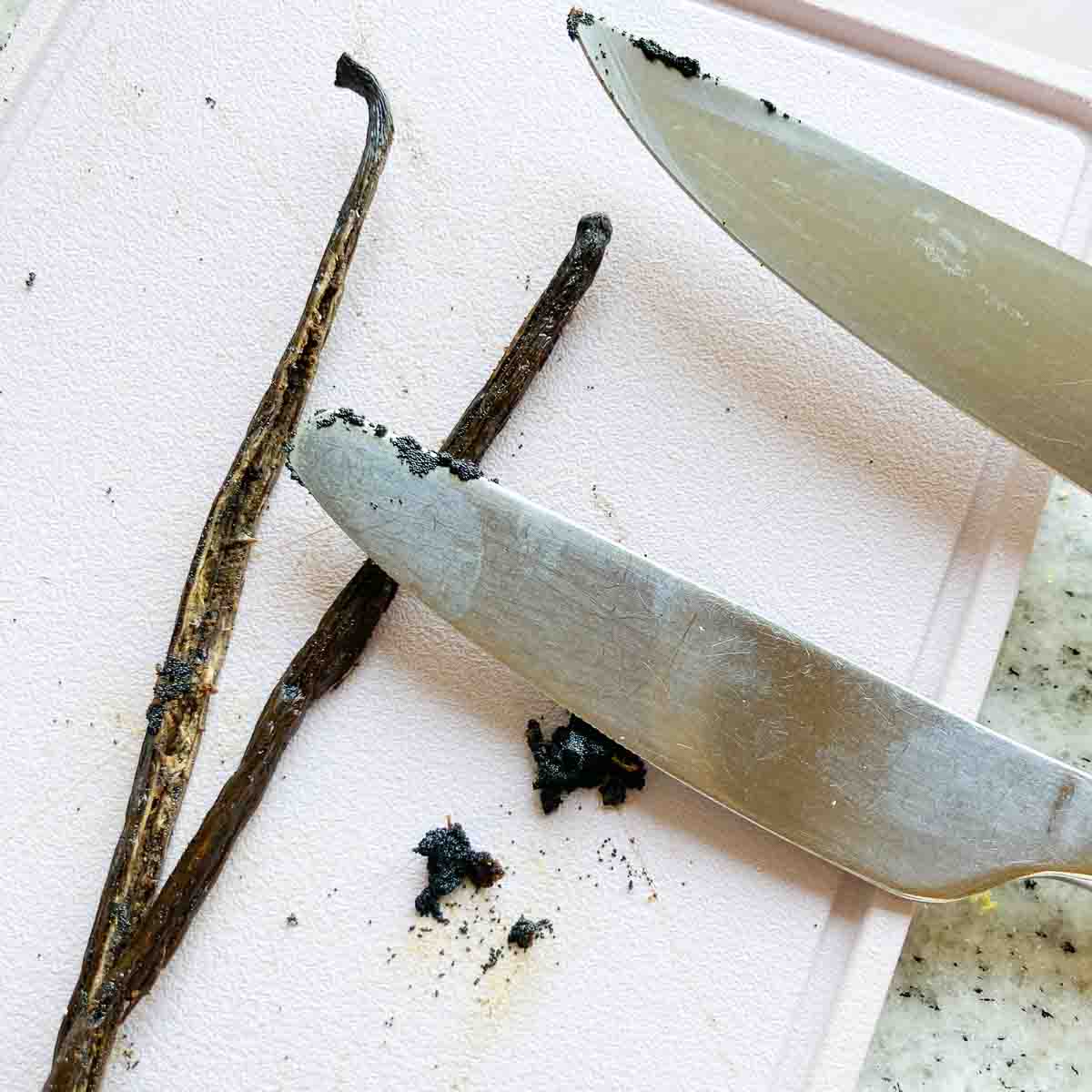 Vanilleschote längs aufgeschnitten und Vanillemark ausgekratzt | Vanilla Pod, cut lenghtwise with scraped out vanilla pulp