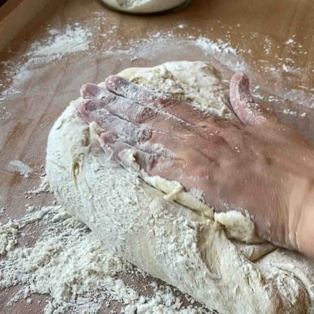 Fluffy Buchteln Recipe (Sweet Austrian Yeast Buns)