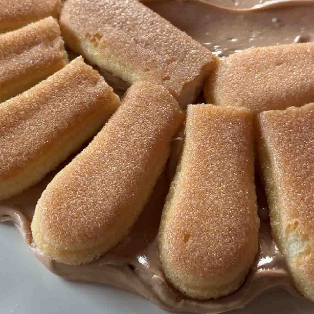 Biskottentorte erste Schicht.