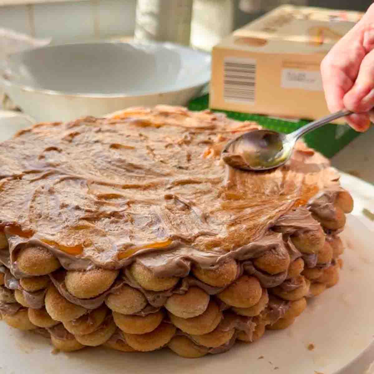 Biskottentorte mit einer Schicht Marillenmarmelade unter dem Schlagobers.